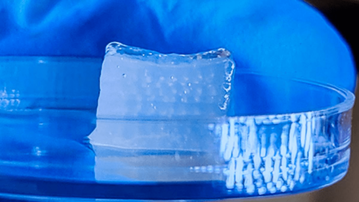 Revolutionary 3D Bioprinting Achieves 10x Velocity For Purposeful Tissues